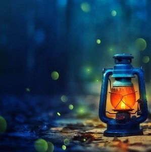 Meet your Posher, Debra